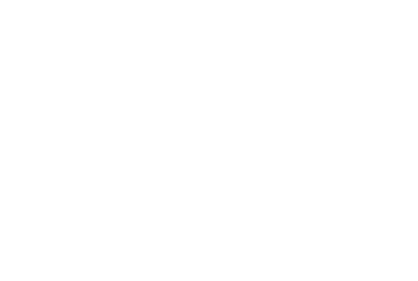 Logo-UNWTO