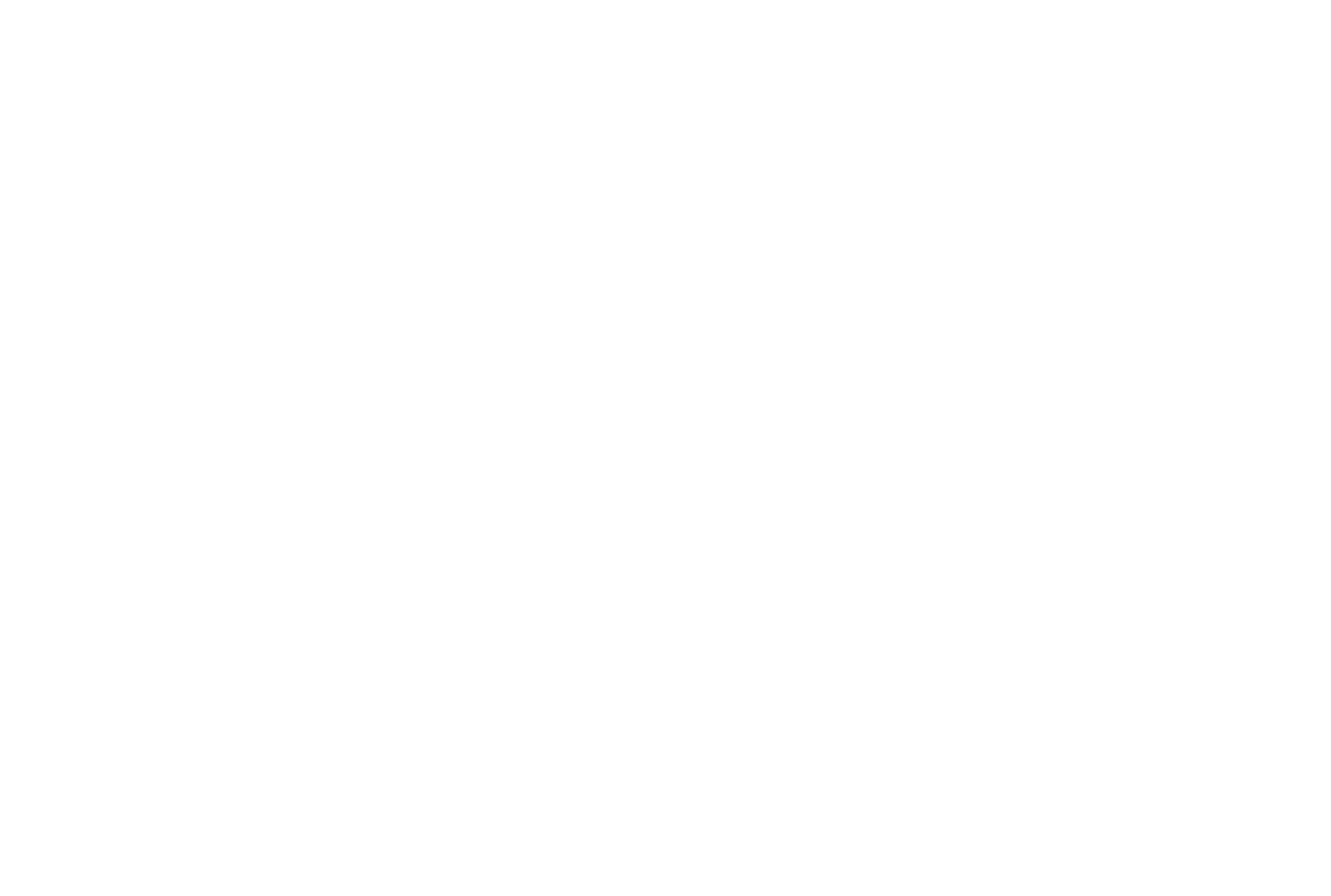 Logo-United_Nations 1