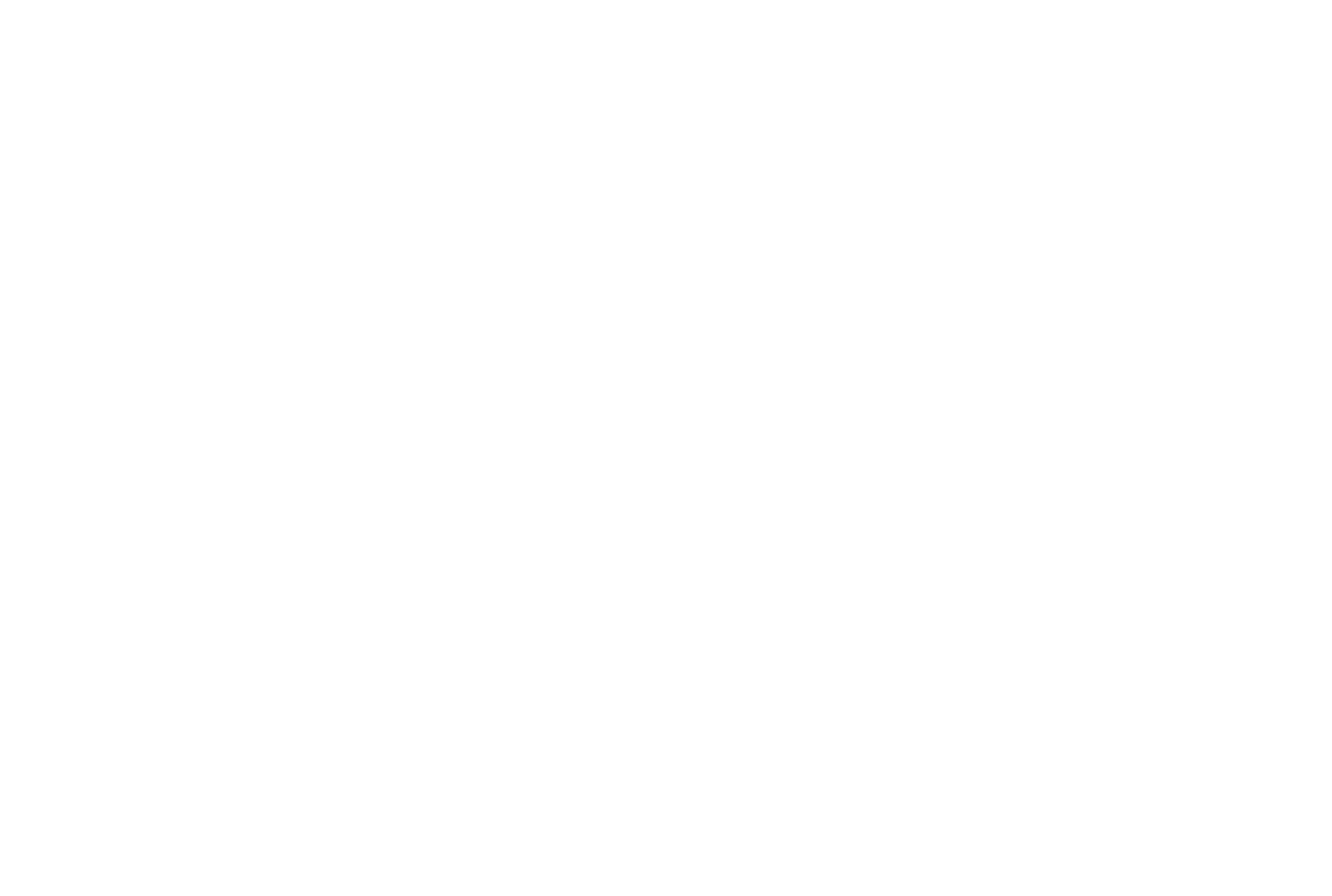 Logo-We-Tangible